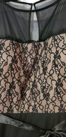 Gorgeous Evening Gown - Picture 3 of 3